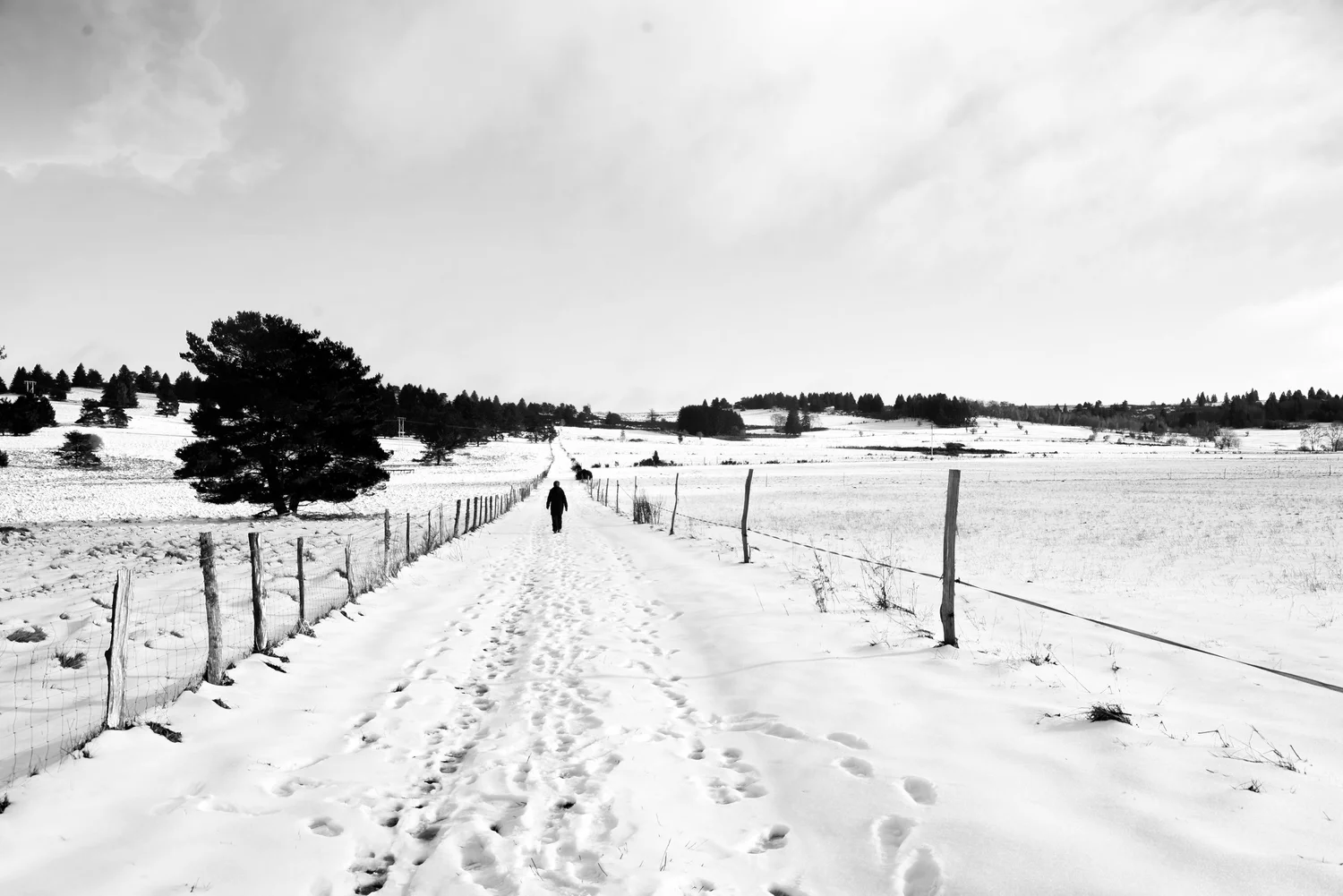 Chemin enneigé en noir et blanc, Auvergne 2024